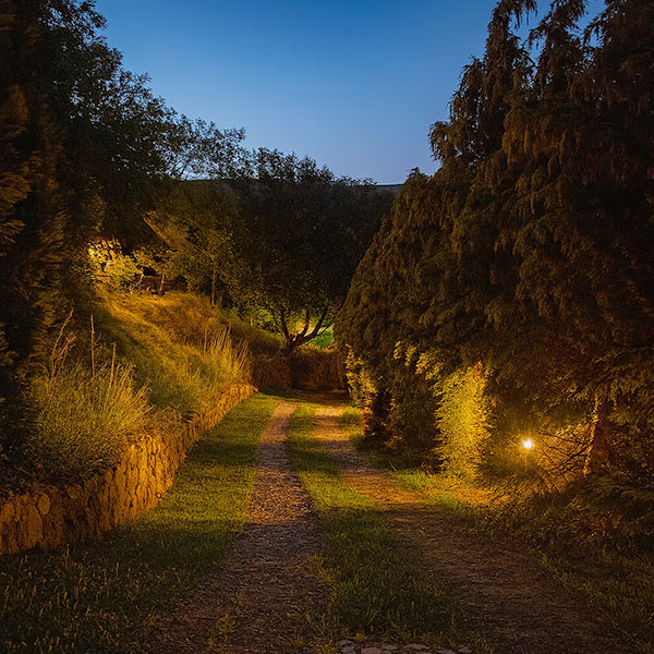 Fruška gora smeštaj – vijugava staza kroz Frušku goru