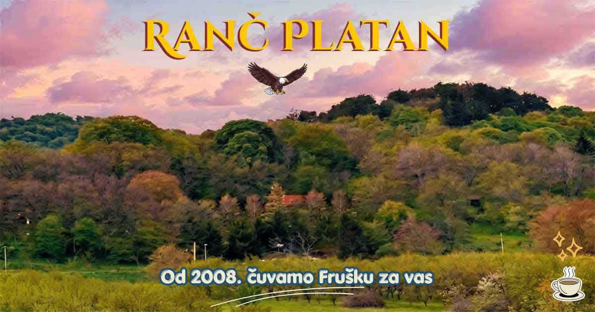 Panorama Fruške gore sa šumama i brežuljcima