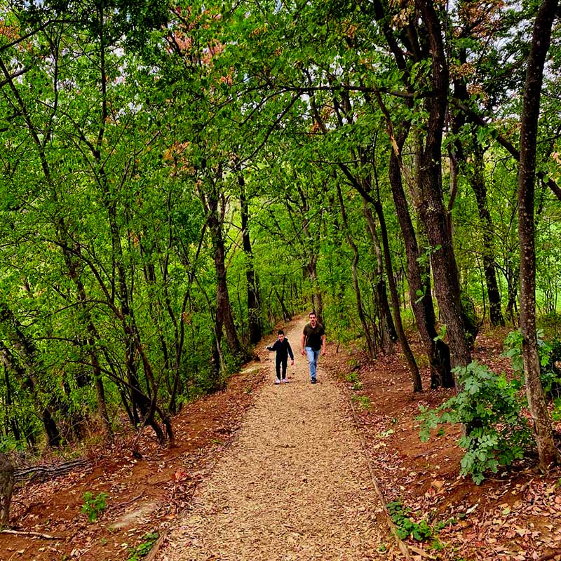 Gašenje neuralne petlje za stres smeštaj Fruška gora vikend za dvoje u prirodi