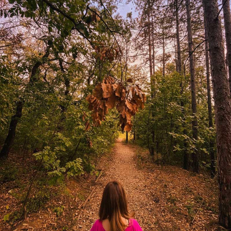 Optimizacija srčanog ritma HRV smeštaj Fruška gora vikend za dvoje u prirodi