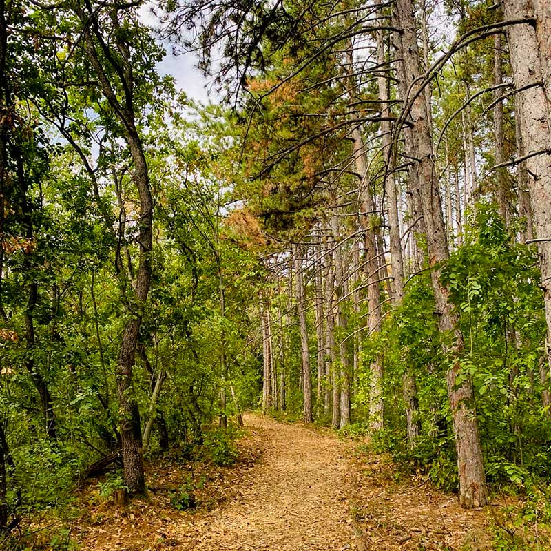 Obnova kognitivne energije i fokusa smeštaj Fruška gora vikend za dvoje u prirodi